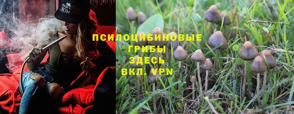 прущие грибы Алексеевка