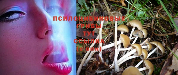 экстази Приозерск