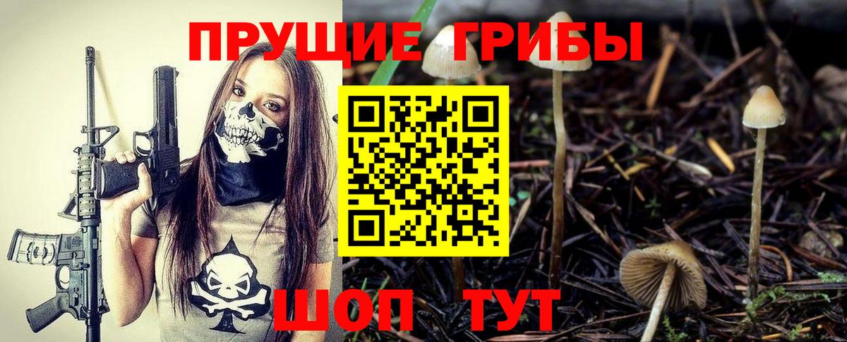 Тосно  Галлюциногенные грибы Psilocybine cubensis  даркнет сайт  Вход с VPN 
